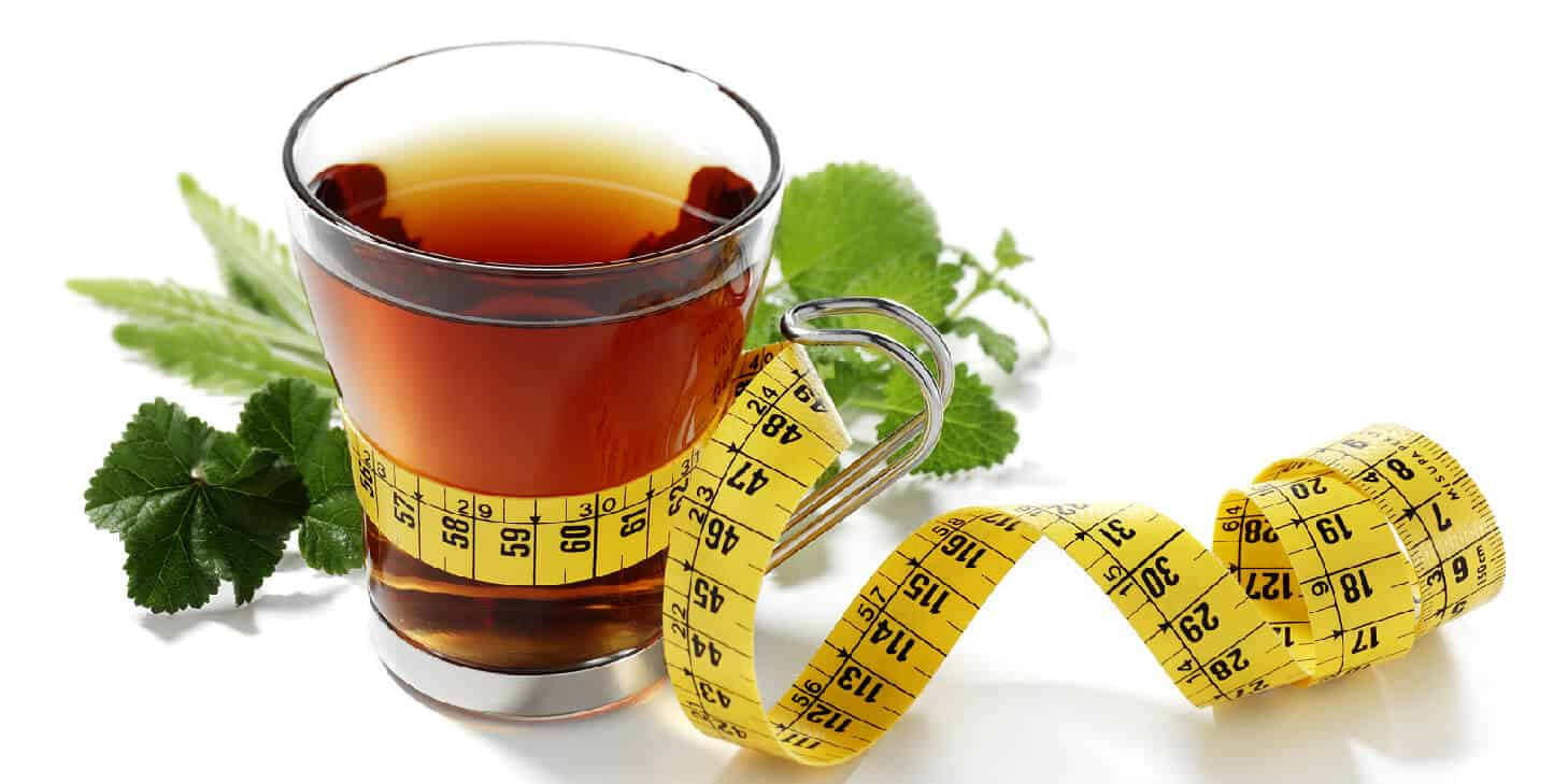 how to lose weight from green tea